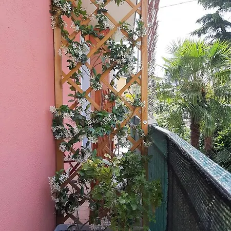 Guest house Alloggigarigliano *